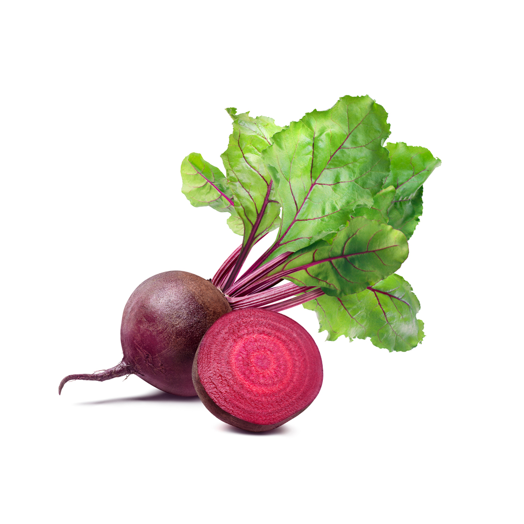 Apfel Elstar Apfel Elstar