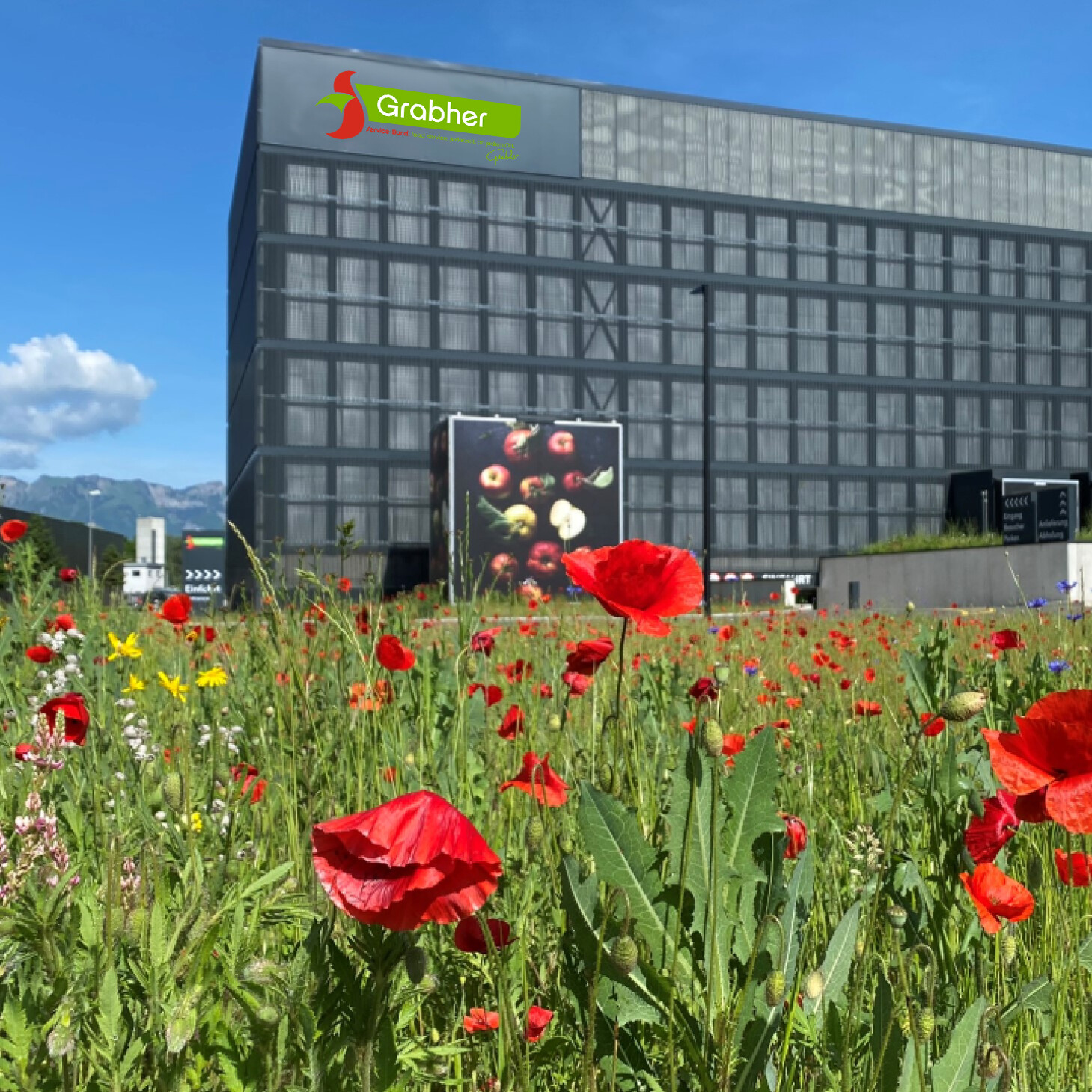 Frimengebaude Grabher Gebäudeaufnahme im Sommer