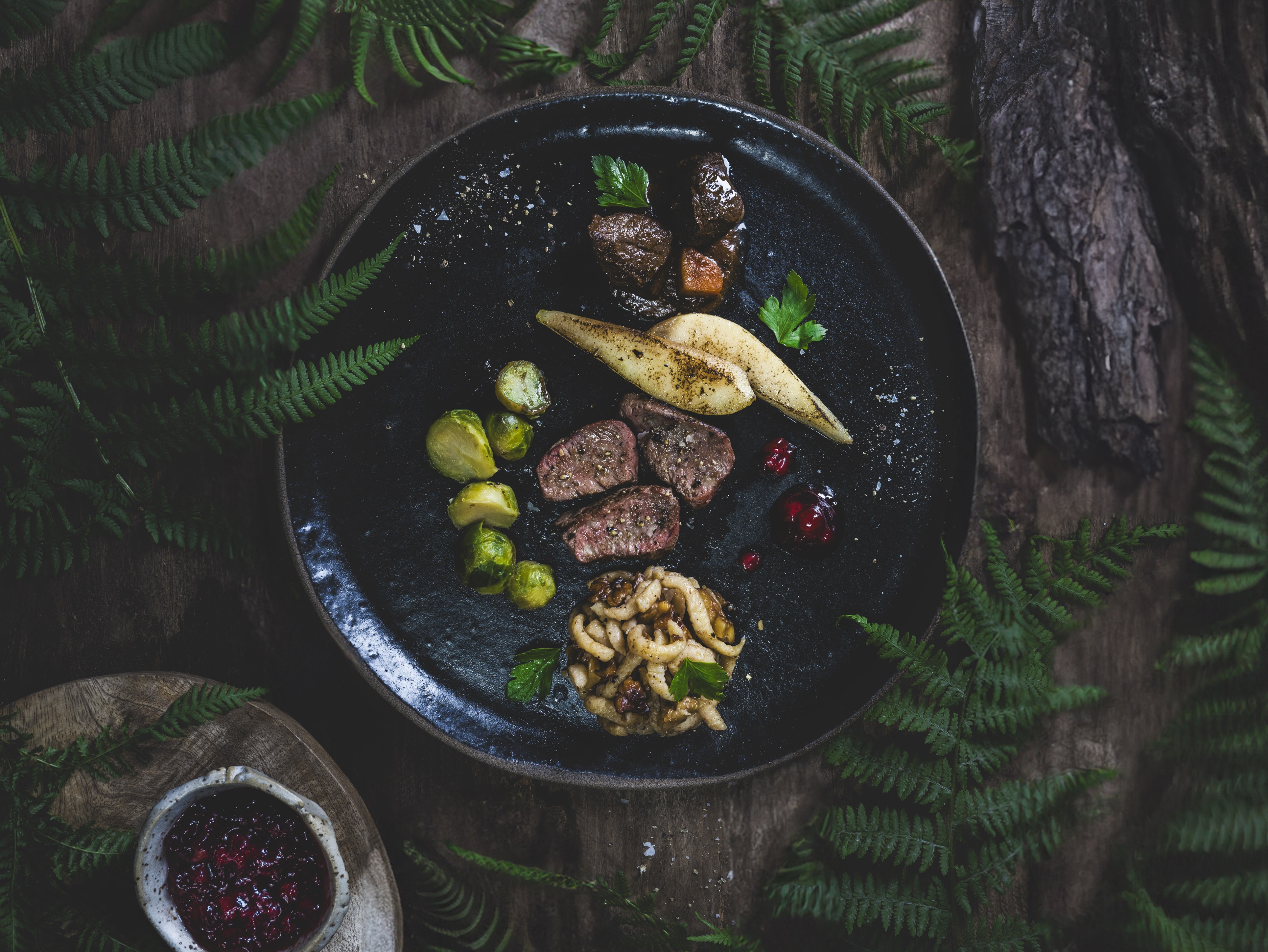 Wald mit Farn Wald mit Farn