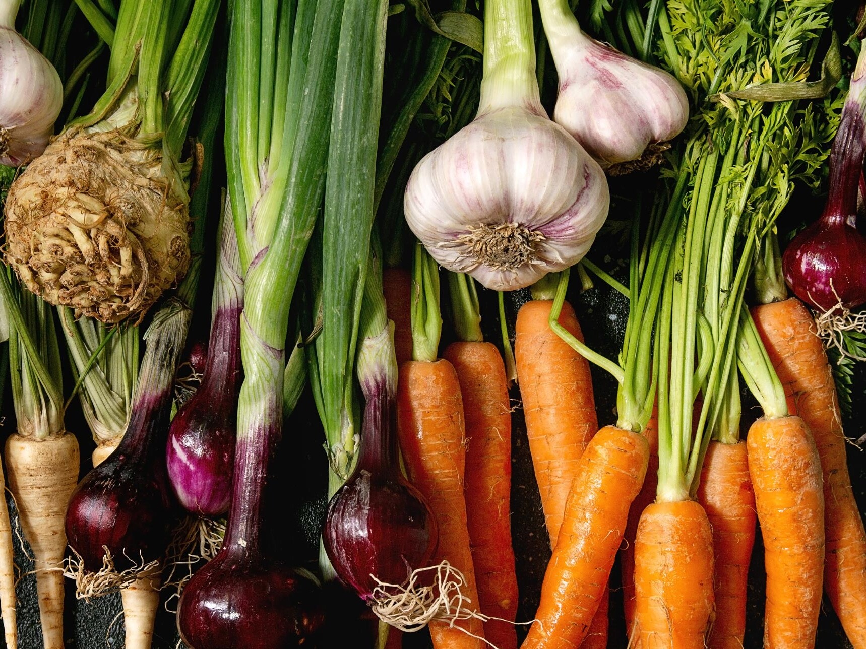 Wurzelgemüse Im November hat Wurzelgemüse Saison