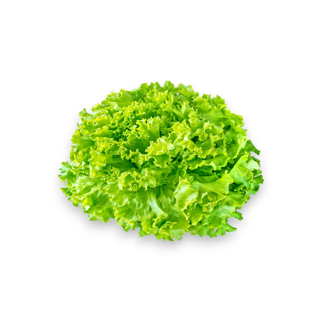 Grüner Blattsalat