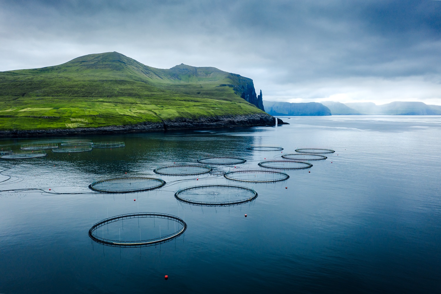 Aquakultur Mermaid Lachs Faröer-Inseln Faeroer-Inseln Aquakultur