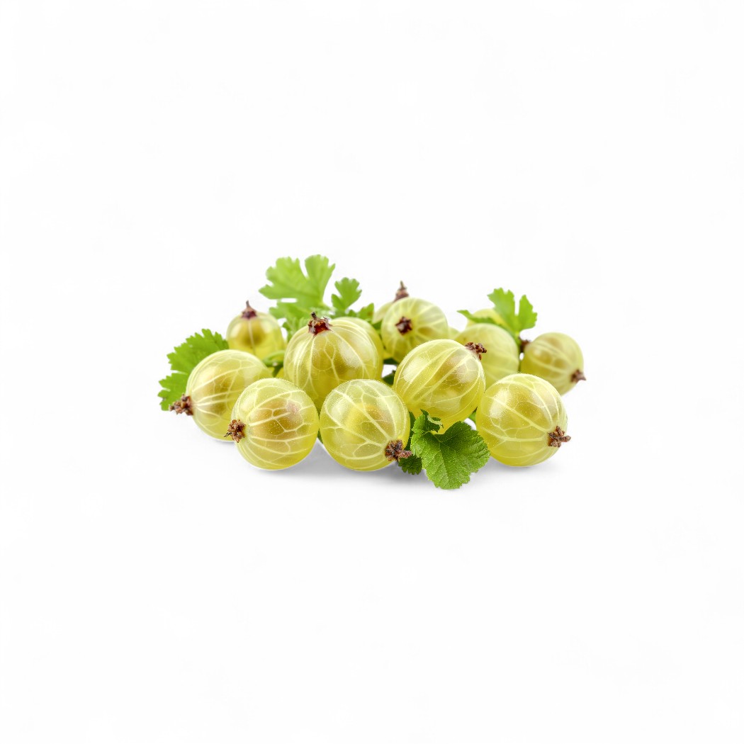 Himbeeren Saisonprodukt Juli: Himbeeren