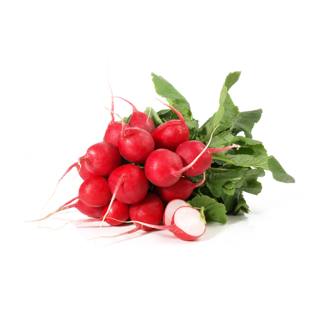 Rote Radieschen Rote Radieschen