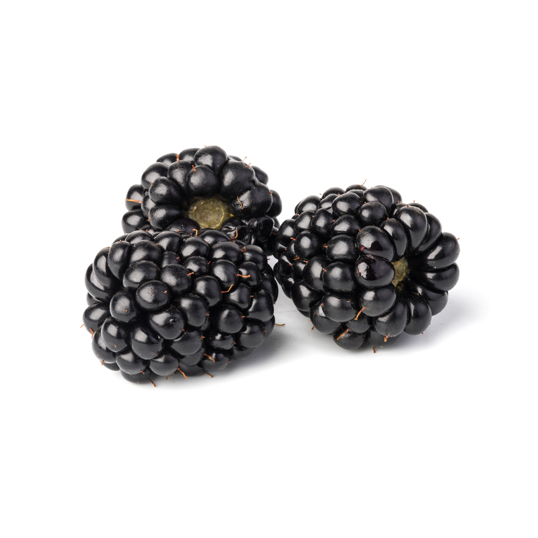 Brombeeren Saisonprodukt im Juli: Brombeeren