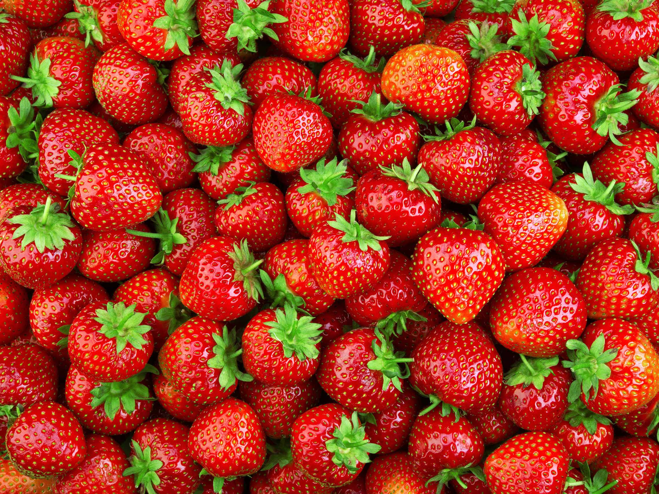 Saisonprodukt Erdbeeren Ein Haufen Erdbeeren