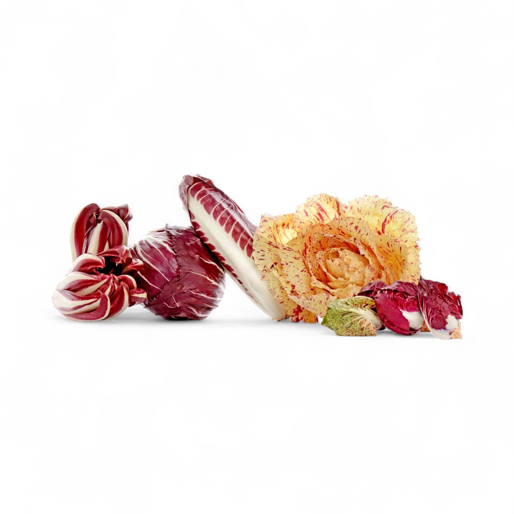Radicchio Varianten