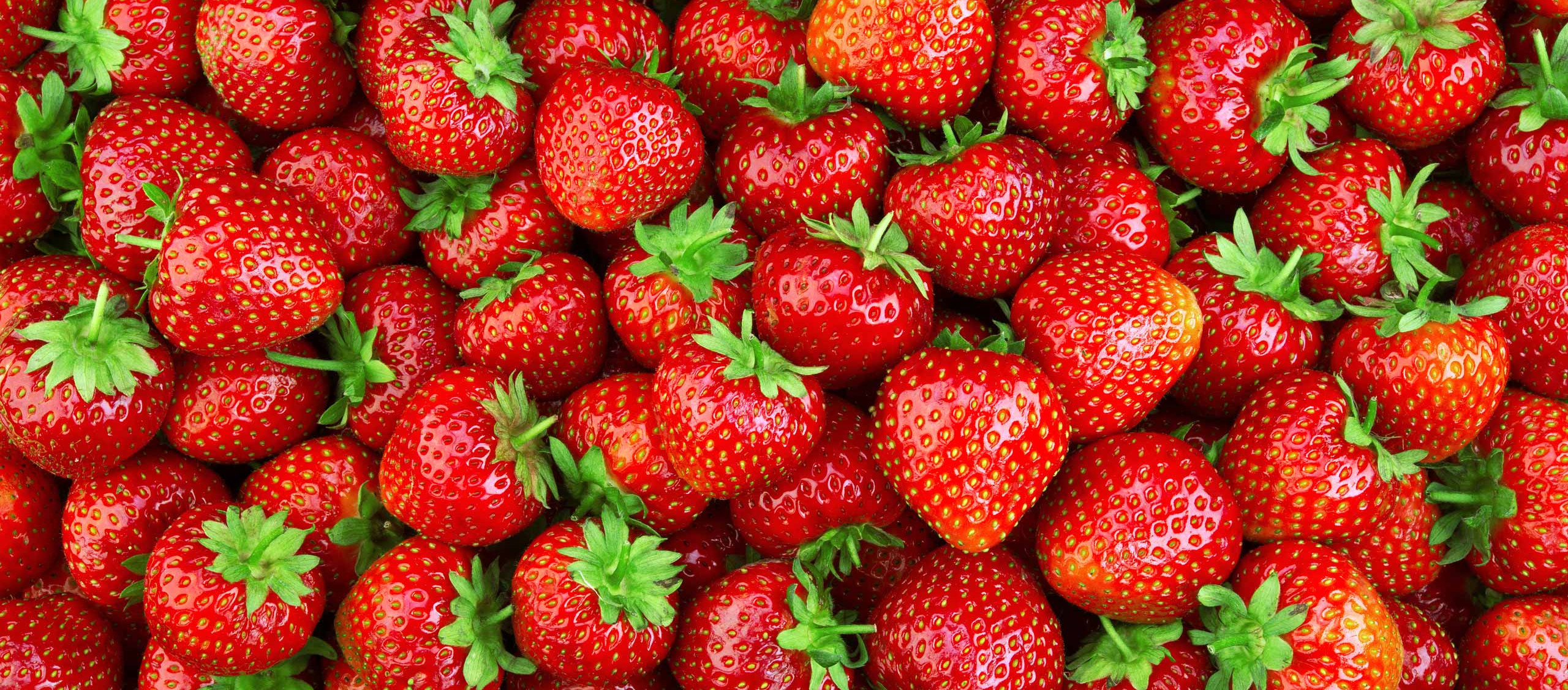 Saisonprodukt Erdbeeren Ein Haufen Erdbeeren